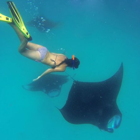 ハニファル トランジット イン ダラバンドゥ エクステリア 写真