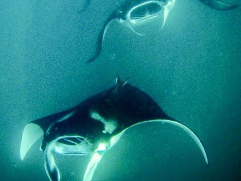 ハニファル トランジット イン ダラバンドゥ エクステリア 写真